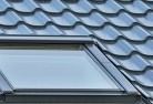 Roxburgh Parkskylight-replacements.jpg; ?>